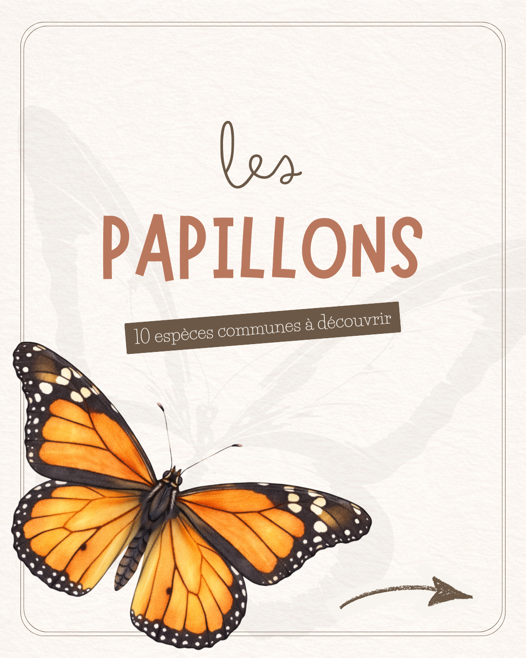 Les Papillons