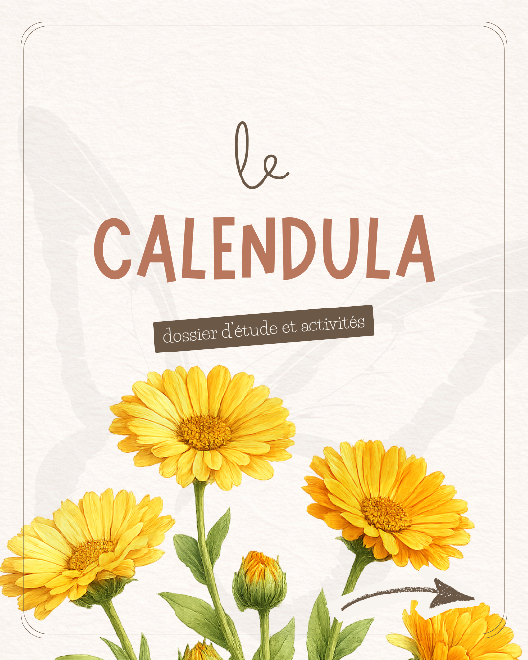 Collab' - Le calendula