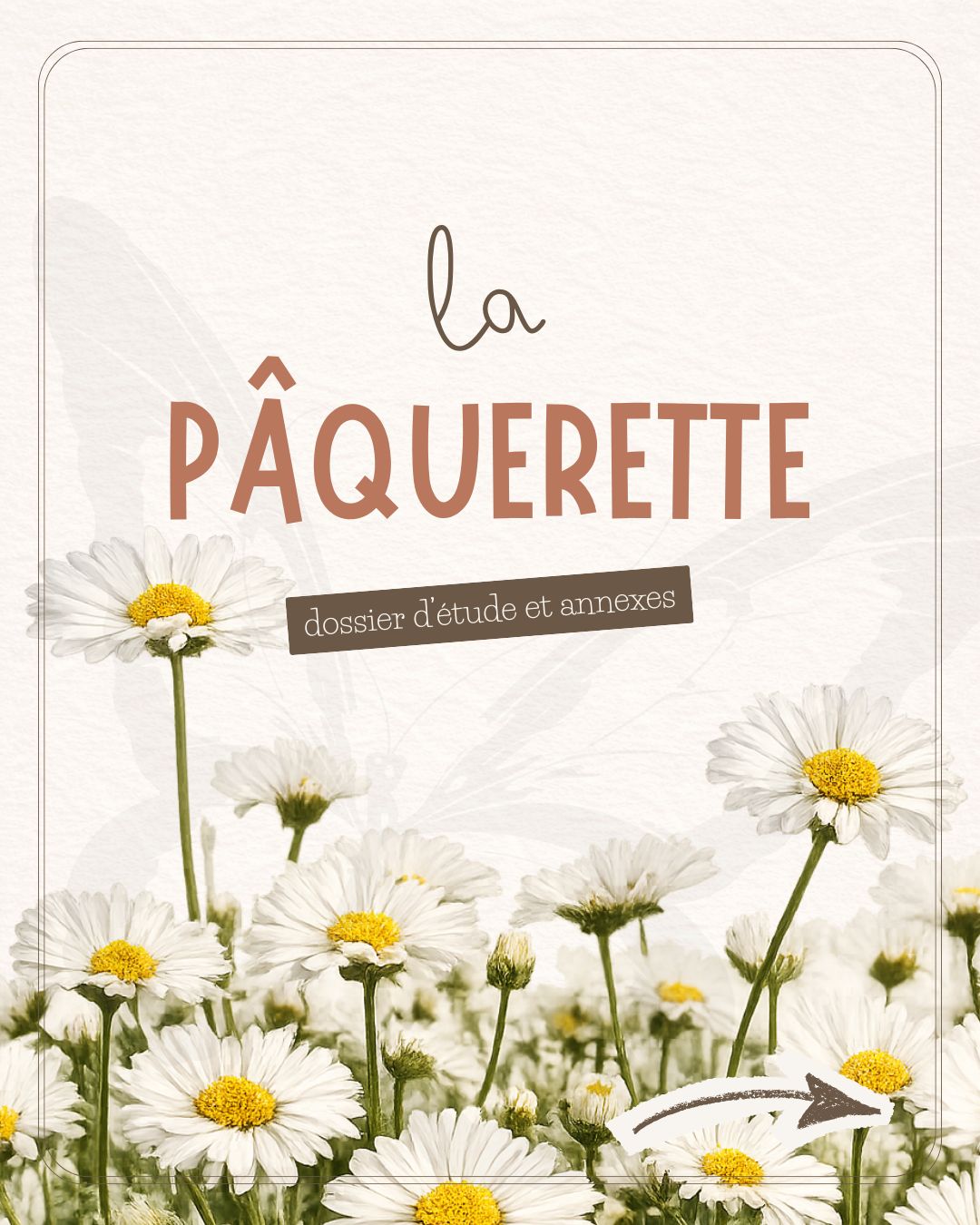 Collab' - La pâquerette