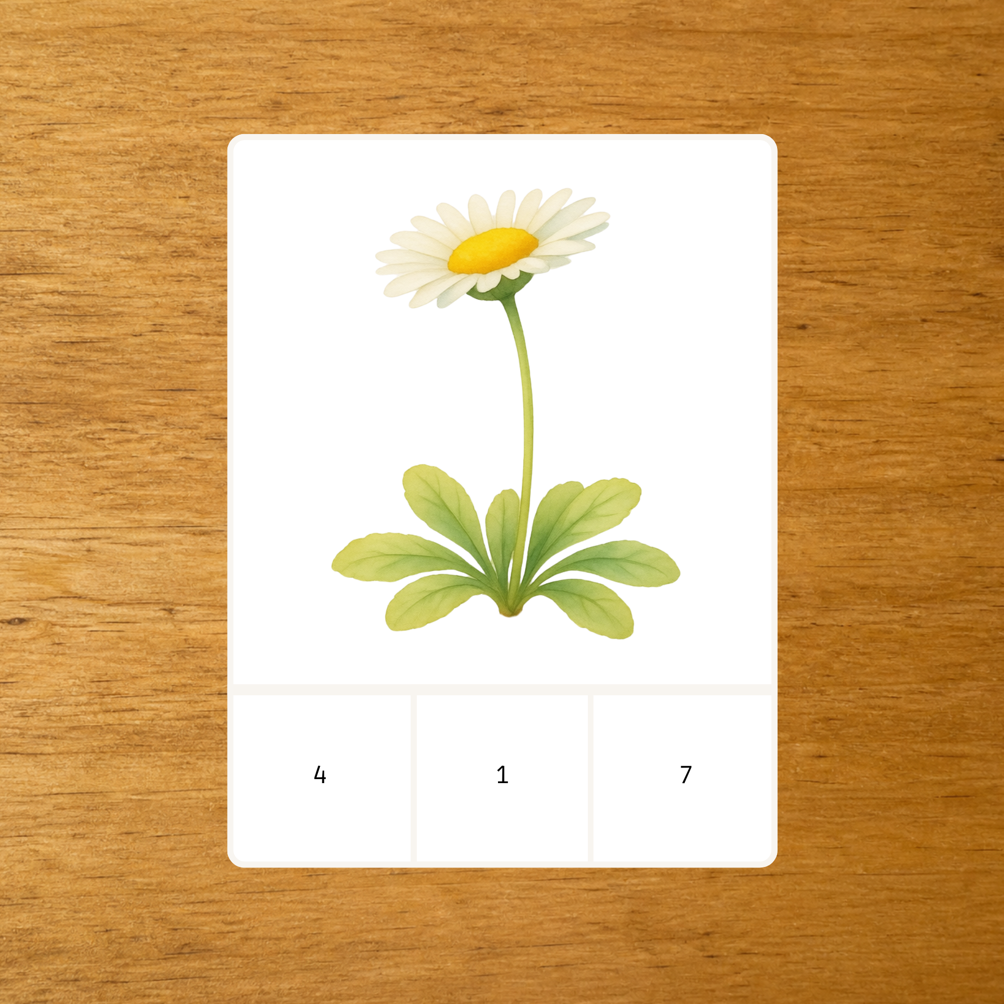Les Fleurs - carte à pince 1-10