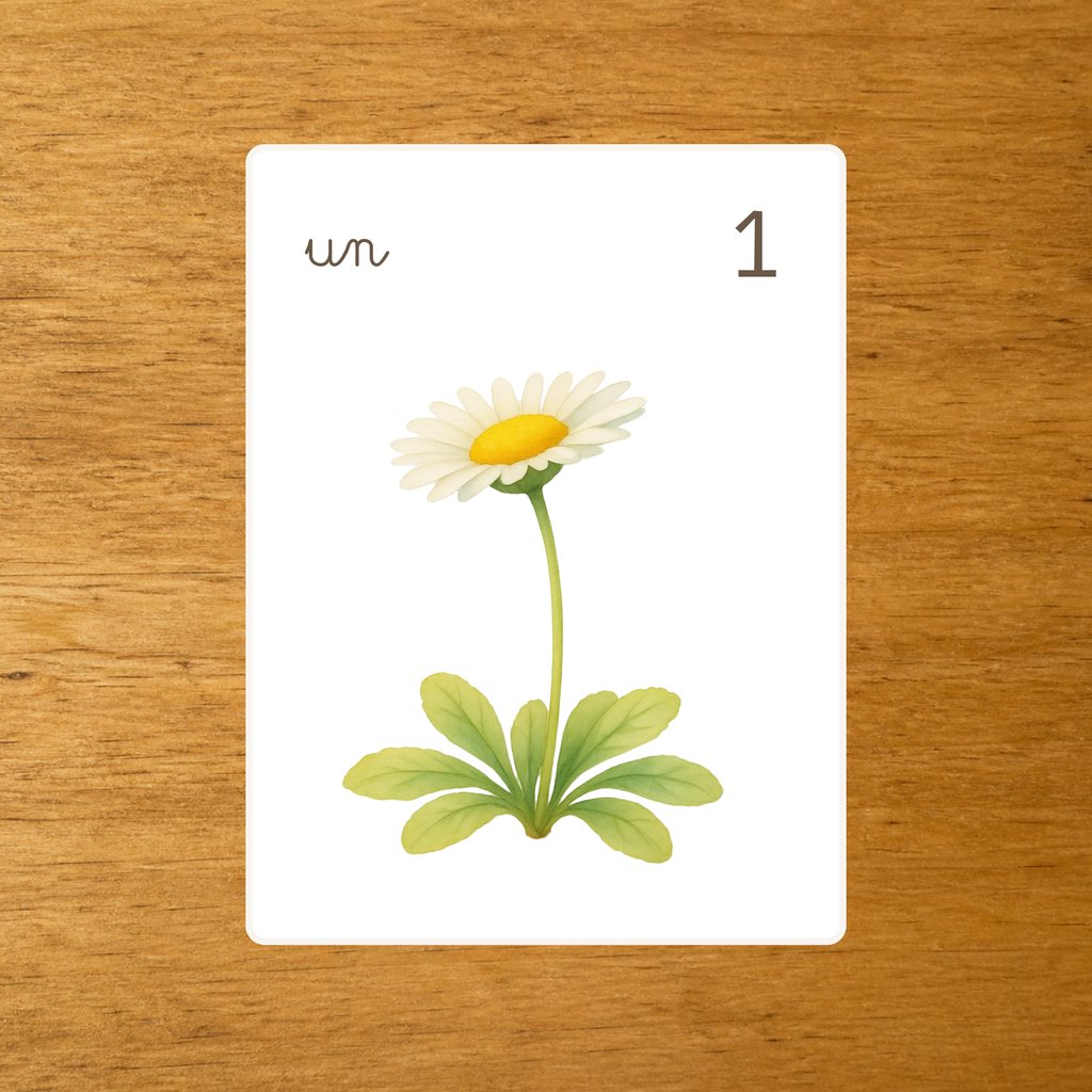 Les Fleurs - Cartes à compter de 1 à 10