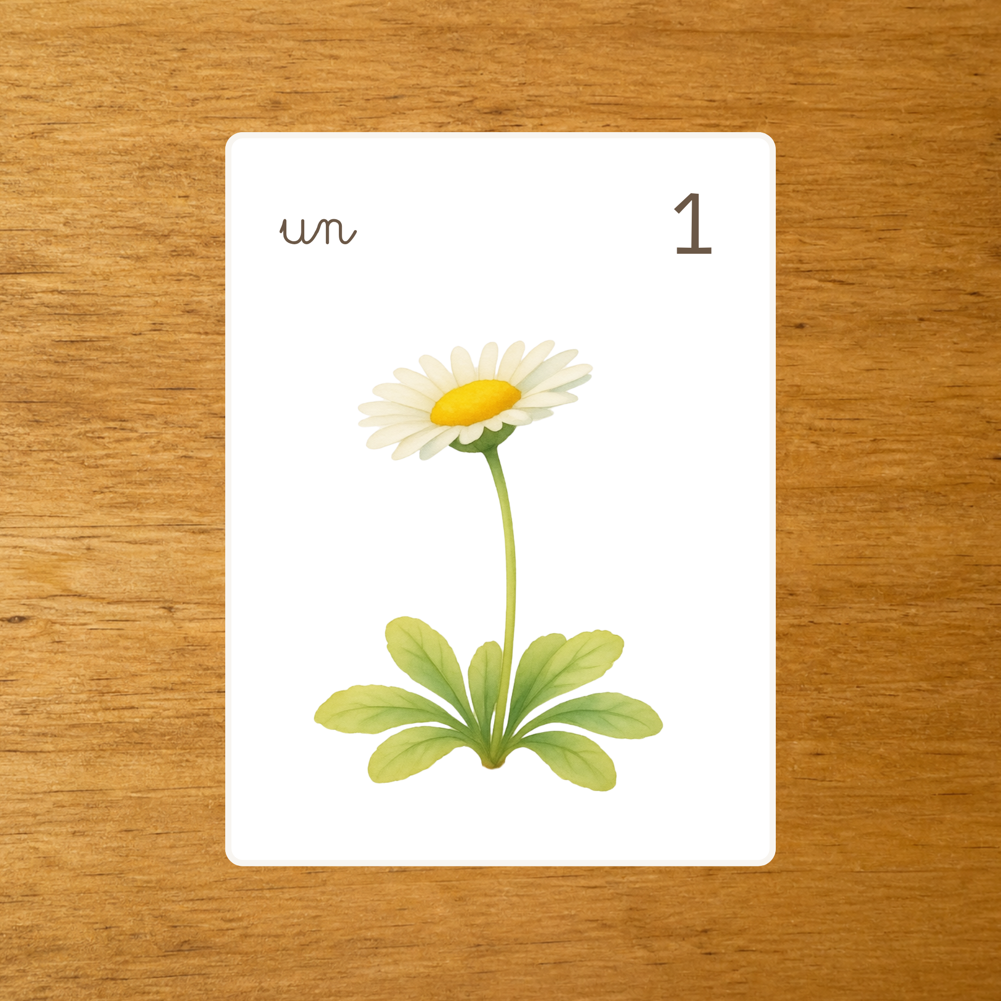 Les Fleurs - Cartes à compter de 1 à 10
