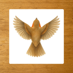 Les Oiseaux - mise en paire : envol