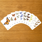 Les Papillons - Cartes à pince de 1 à 10