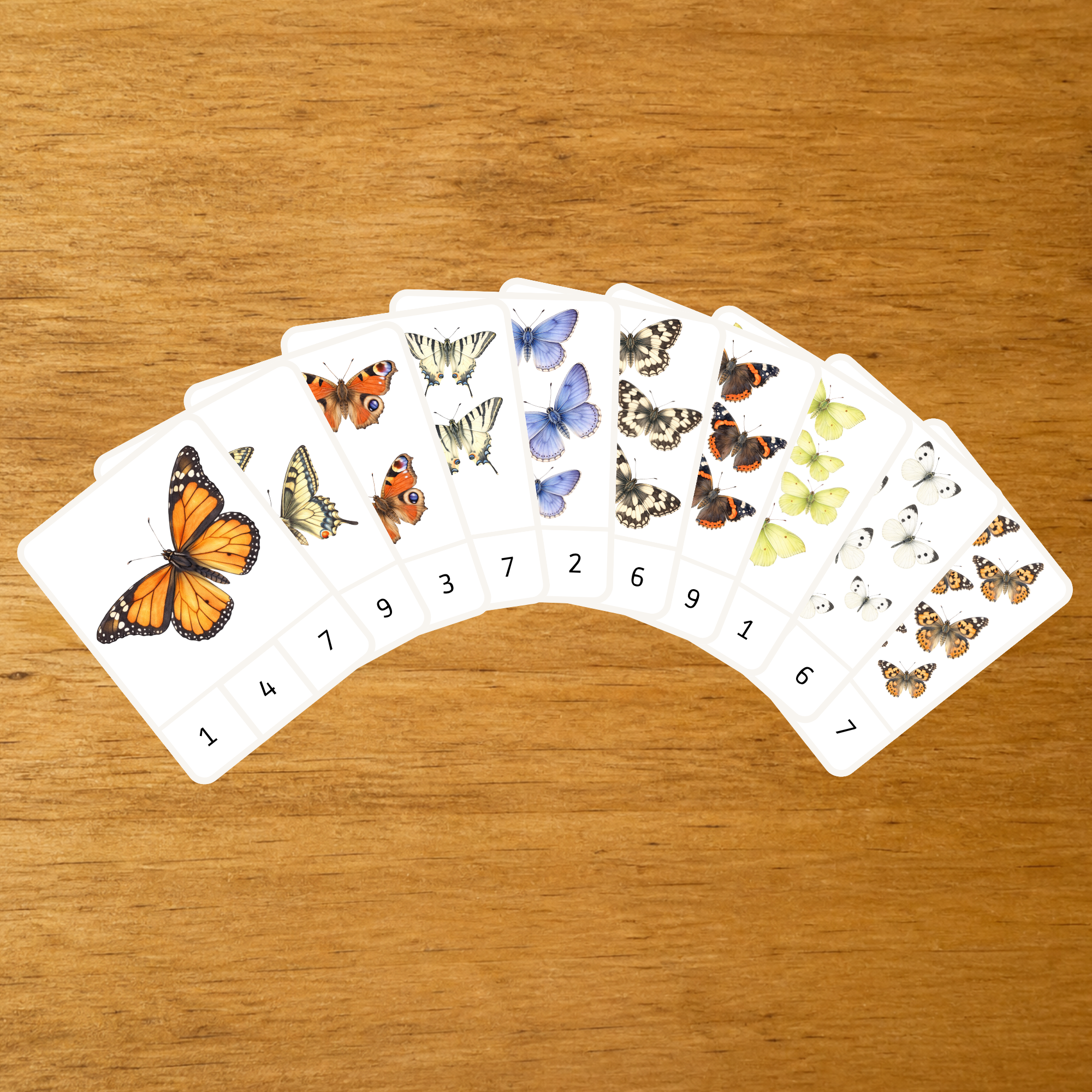 Les Papillons - Cartes à pince de 1 à 10