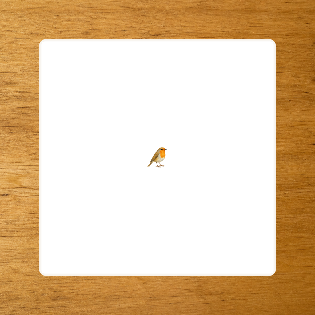 Les Oiseaux - mise en paire - loupe