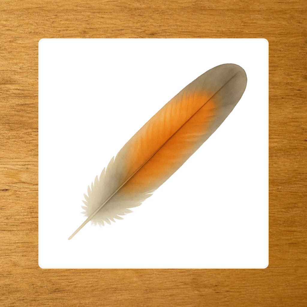 Les Oiseaux - mise en paire : plume