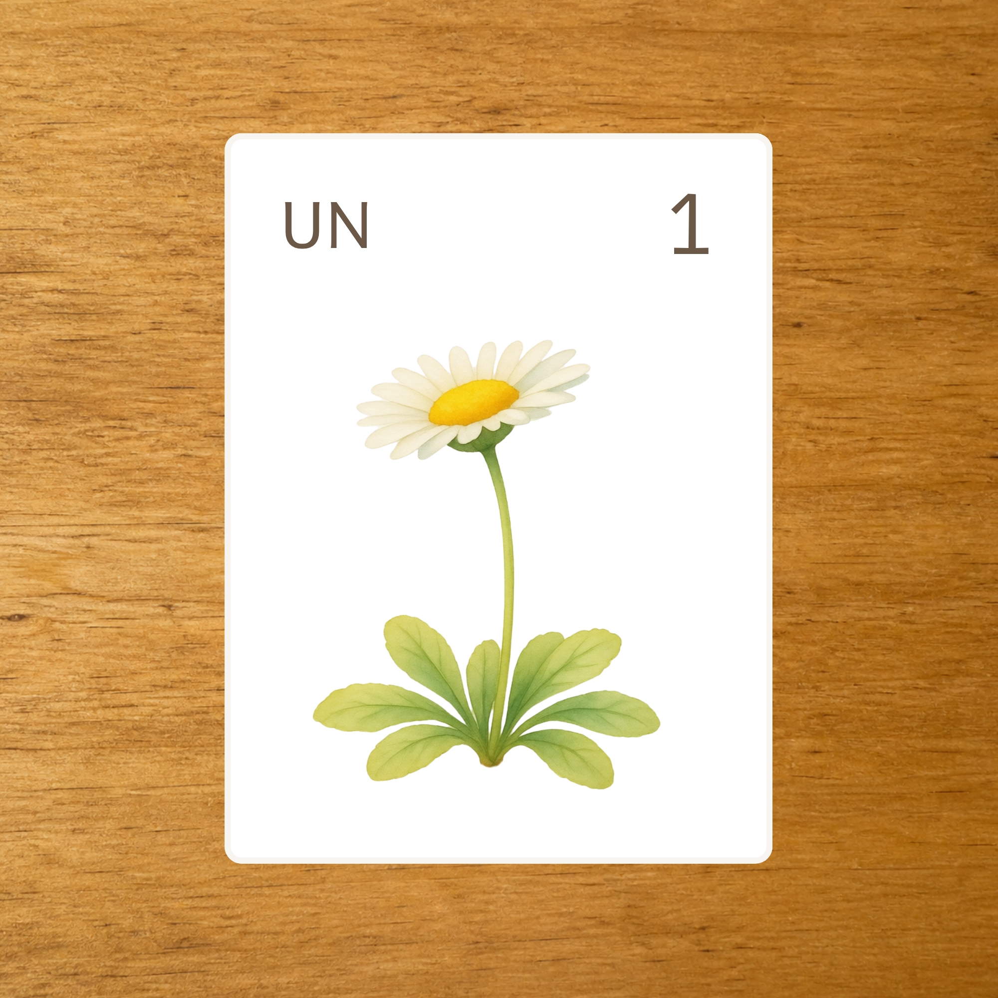 Les Fleurs - Cartes à compter de 1 à 10