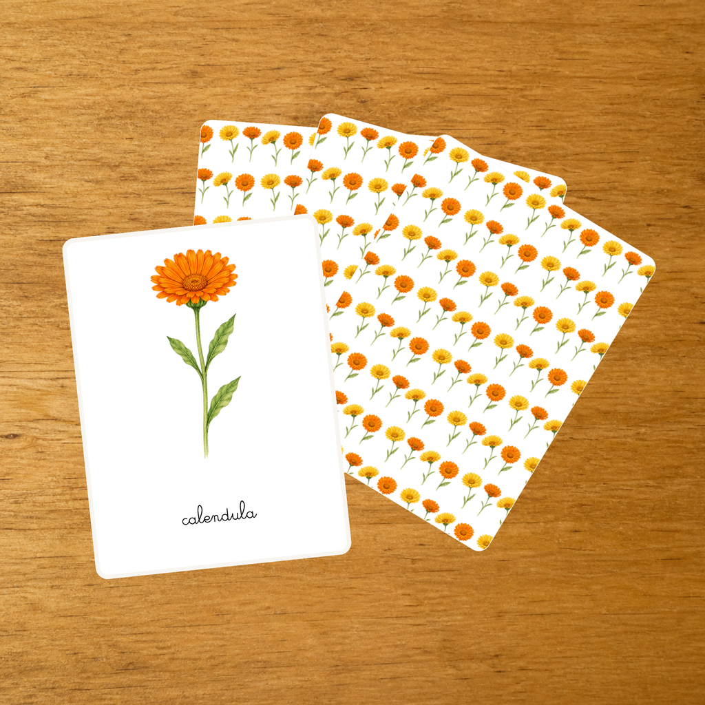 Le Calendula - Carte de nomenclature - PDF à imprimer