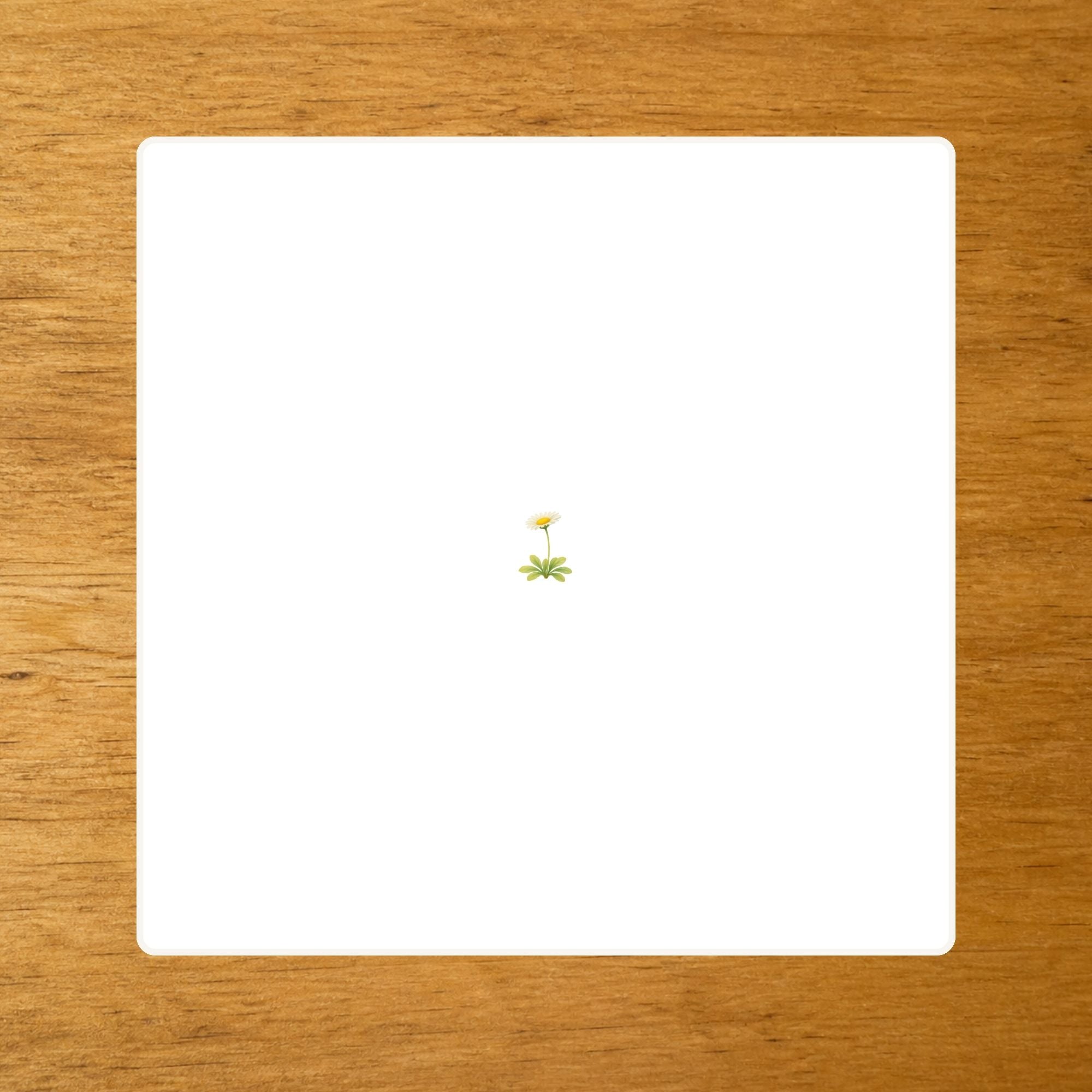 Les Fleurs - mise en paire - loupe