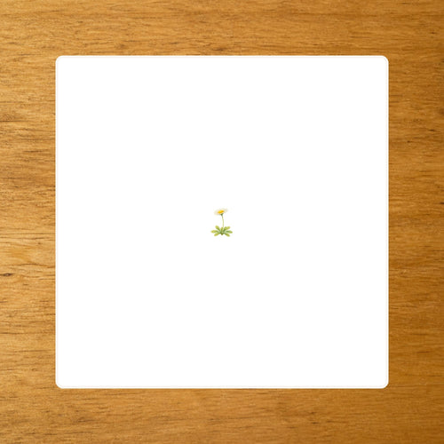 Les Fleurs - mise en paire - loupe
