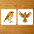 Les Oiseaux - mise en paire : envol