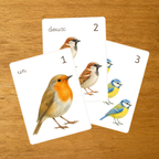 Les Oiseaux - Cartes à compter de 1 à 10