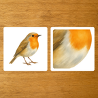 Les Oiseaux - mise en paire : zoom