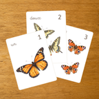 Les Papillons - Cartes à compter de 1 à 10