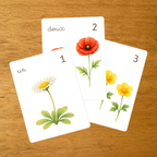 Les Fleurs - Cartes à compter de 1 à 10