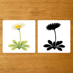 Les Fleurs - mise en paire : silhouette