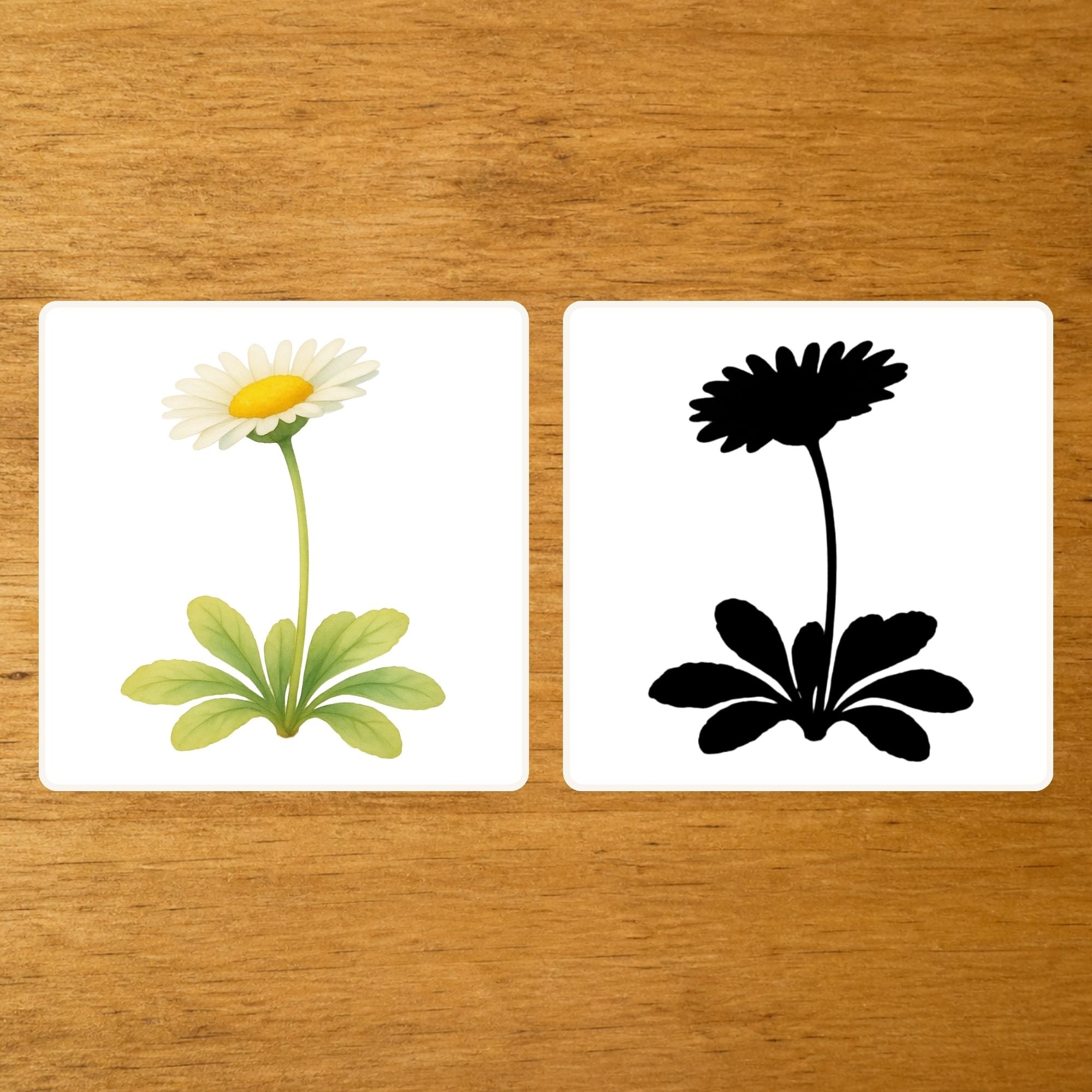 Les Fleurs - mise en paire : silhouette