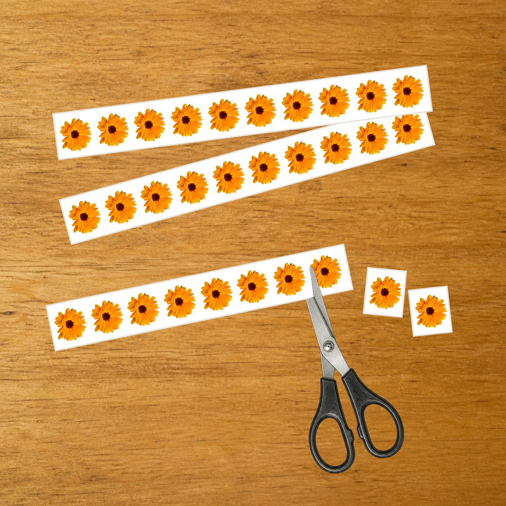 Découpage, collage et série du Calendula - Motricité fine - PDF à imprimer