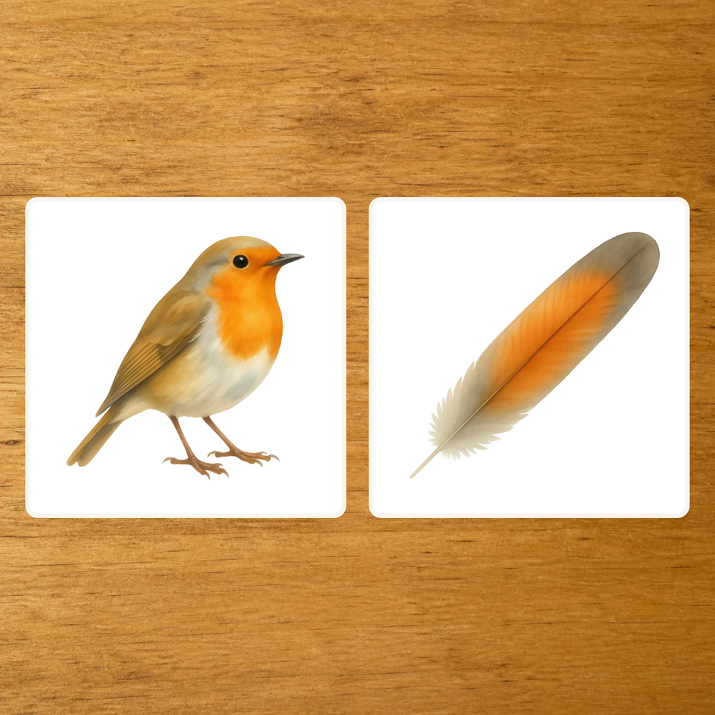Les Oiseaux - mise en paire : plume