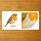 Les Oiseaux - mise en paire : zoom