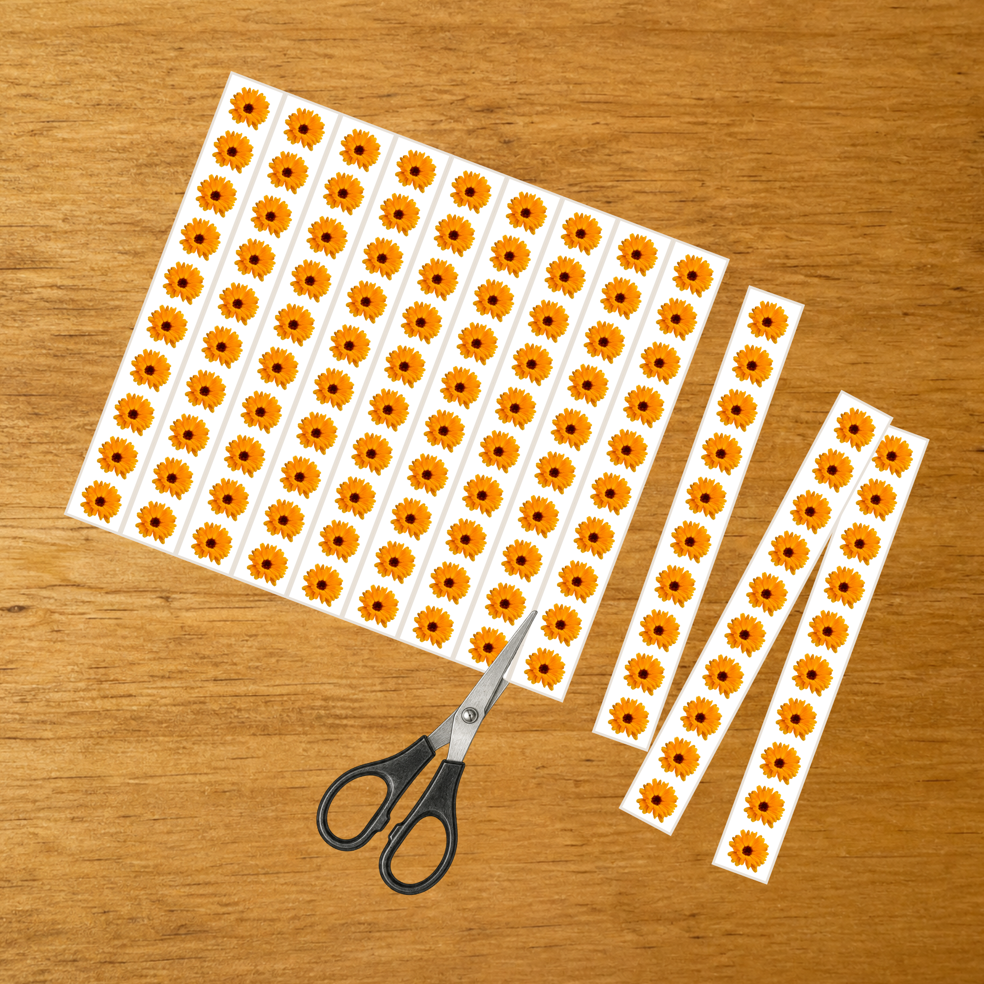 Découpage, collage et série du Calendula - Motricité fine - PDF à imprimer