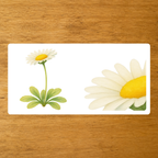 Les Fleurs - mise en paire : zoom