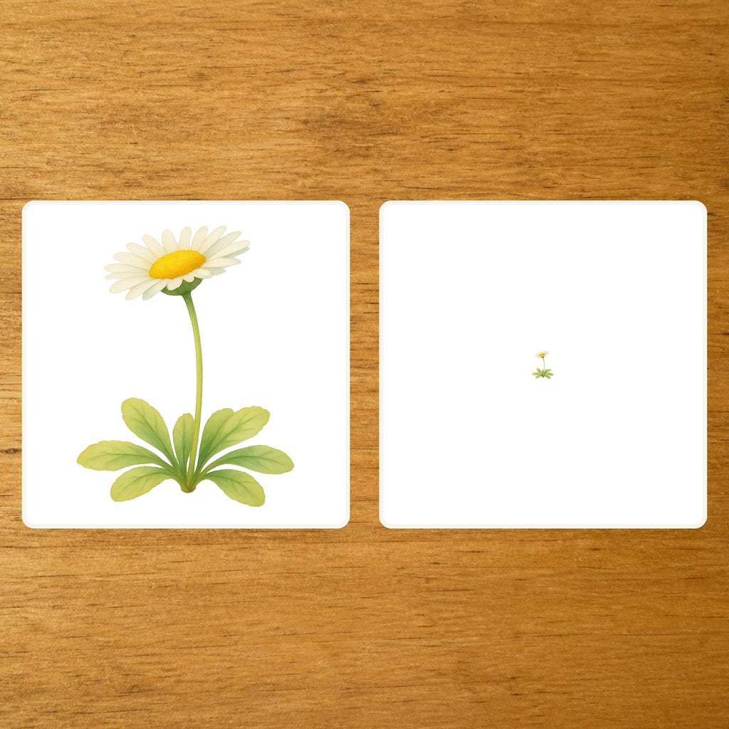 Les Fleurs - mise en paire - loupe