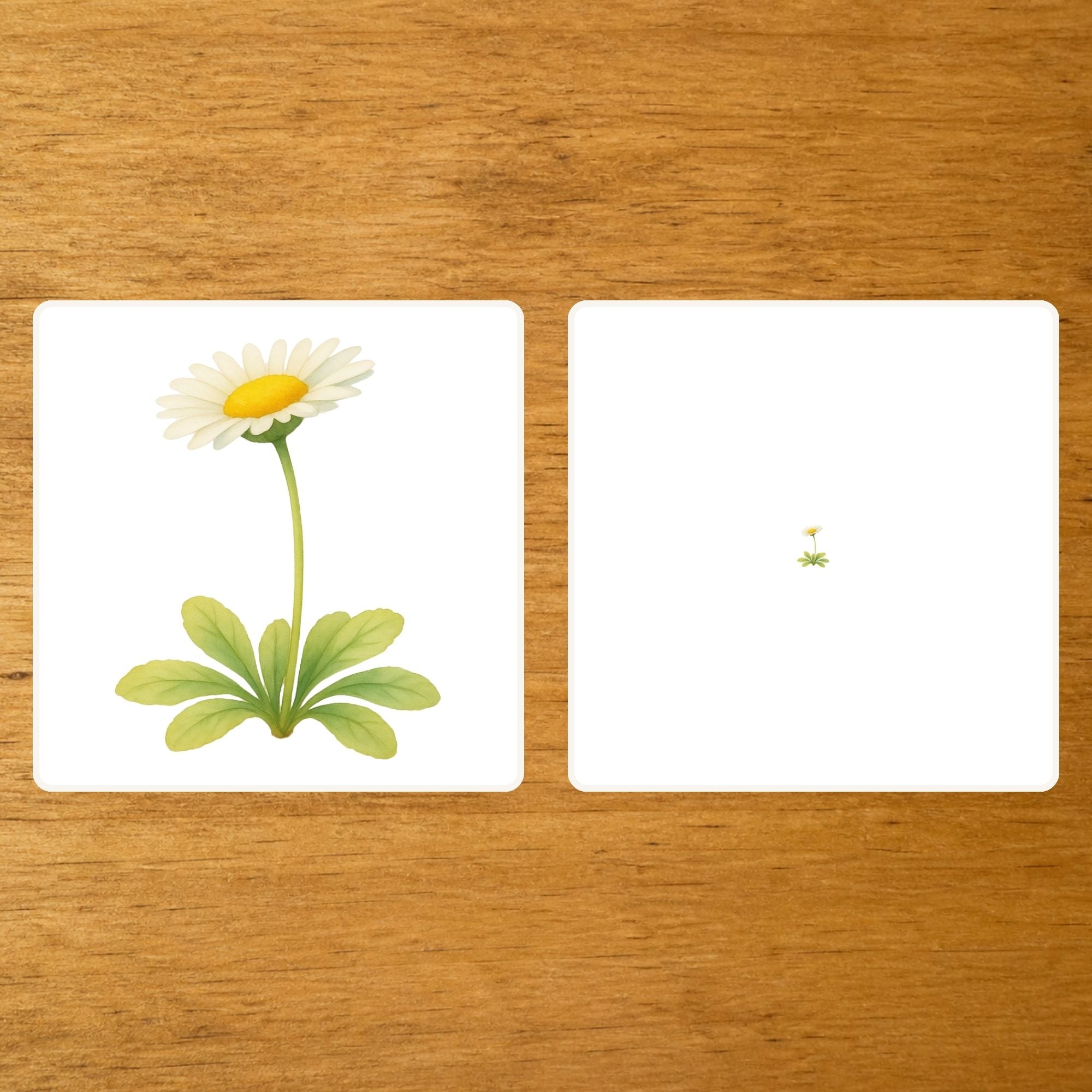Les Fleurs - mise en paire - loupe