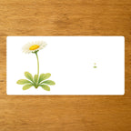 Les Fleurs - mise en paire - loupe