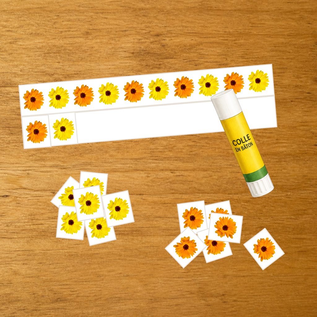 Découpage, collage et série du Calendula - Motricité fine - PDF à imprimer