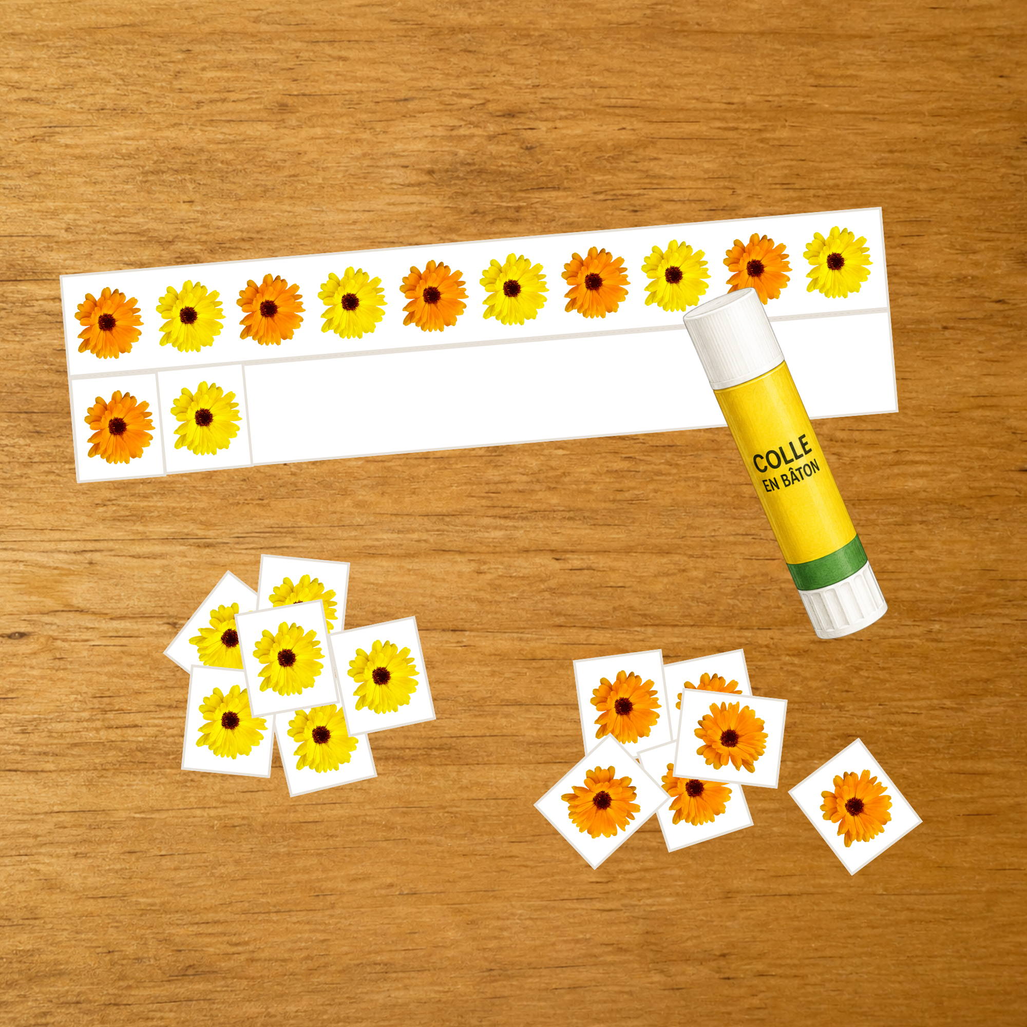 Découpage, collage et série du Calendula - Motricité fine - PDF à imprimer
