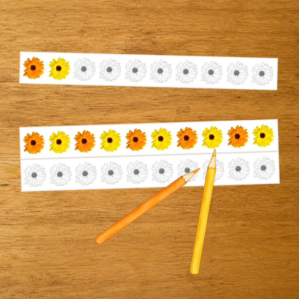 Découpage, collage et série du Calendula - Motricité fine - PDF à imprimer