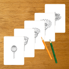 Floraison du Calendula - Cartes séquentielles - PDF à imprimer