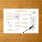L'anatomie du Calendula - Fiches d'écriture - PDF à imprimer