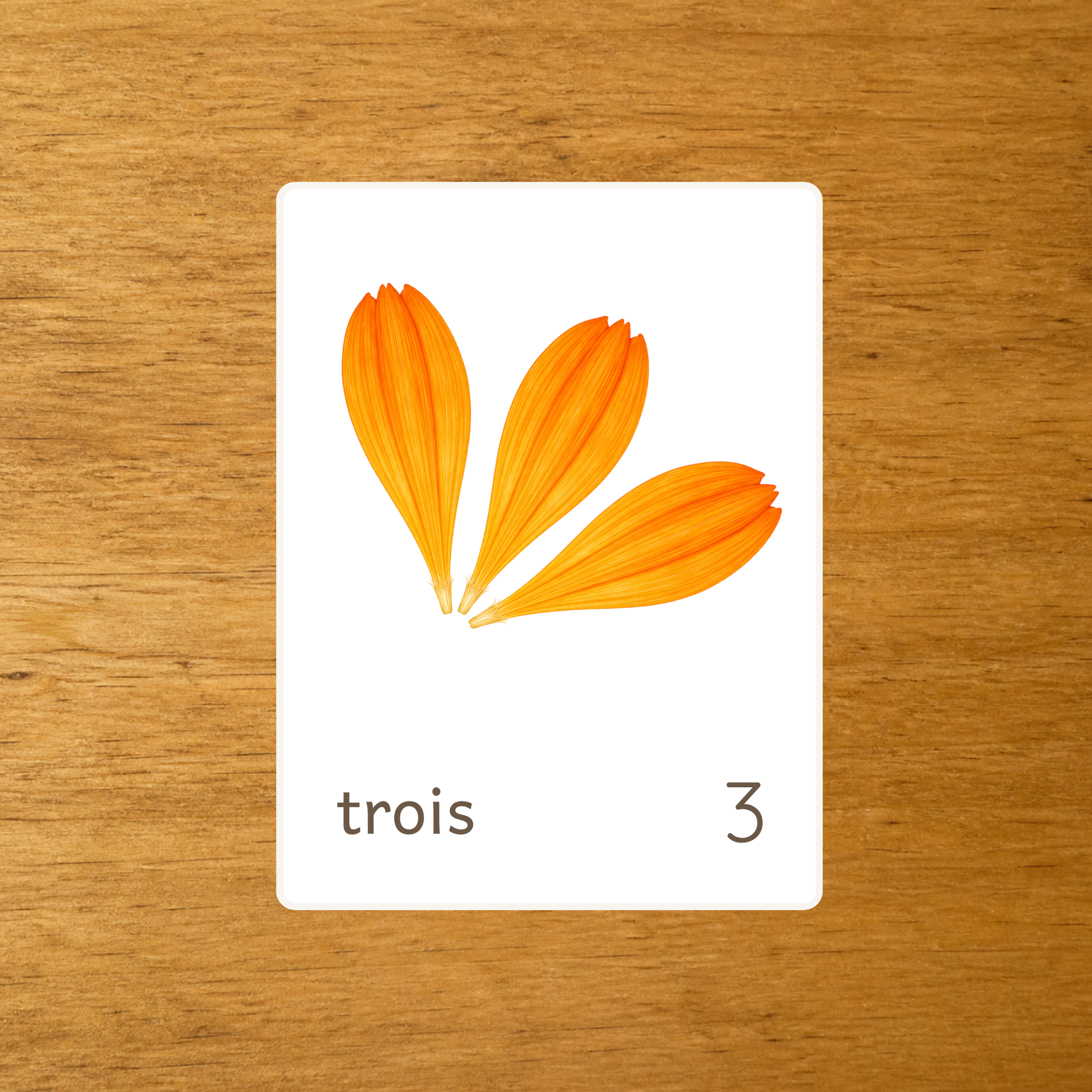 Le calendula - Cartes à compter 1-10