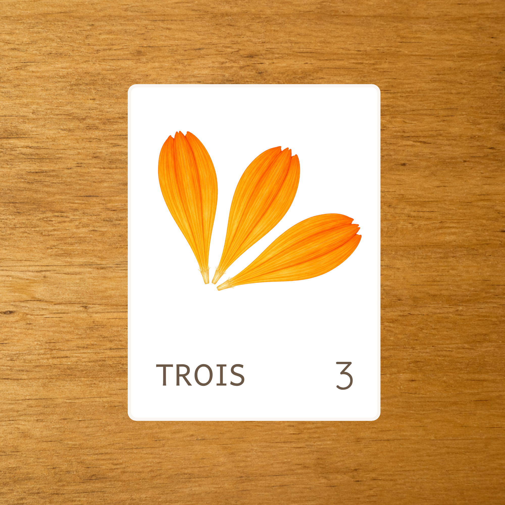Le calendula - Cartes à compter 1-10