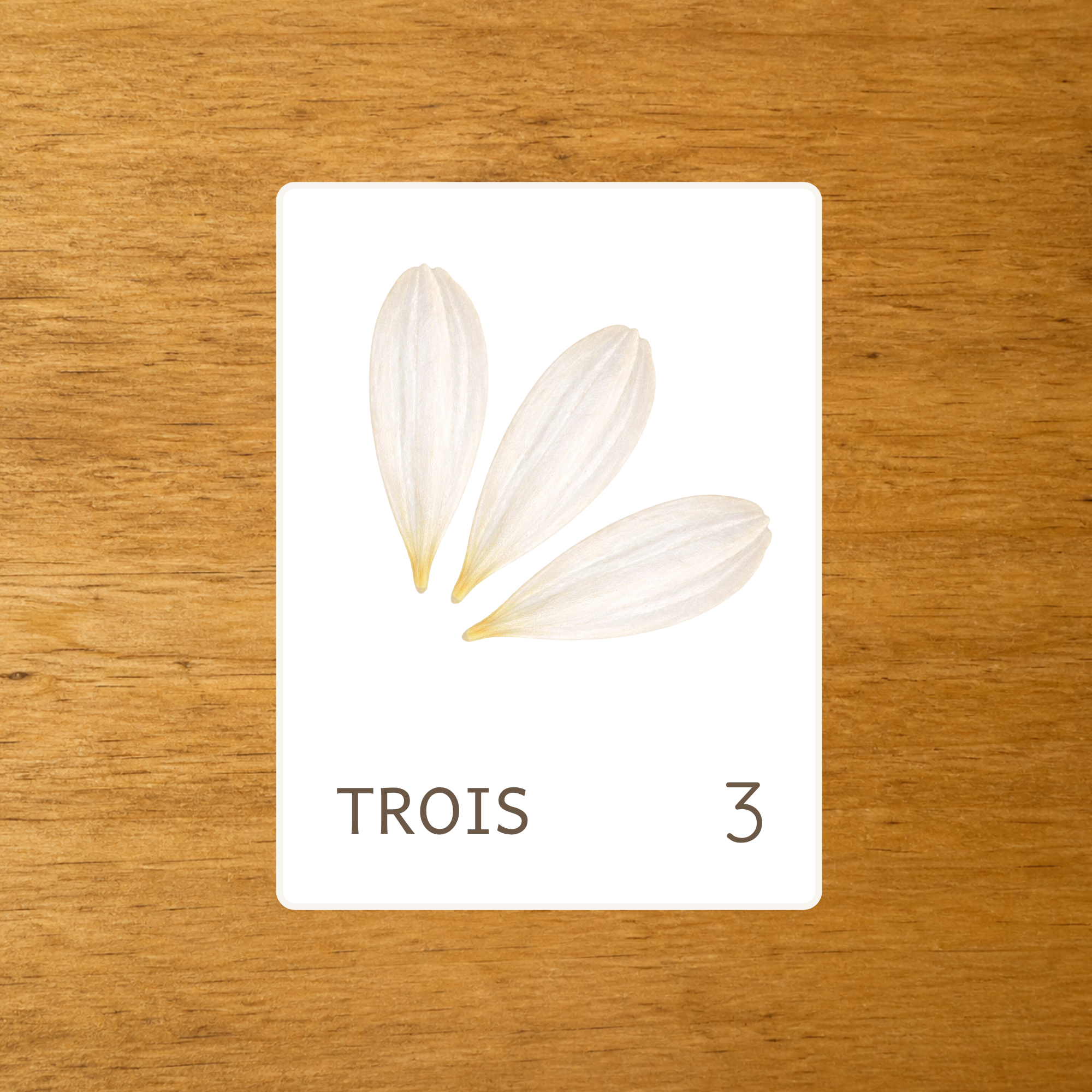 La pâquerette - Cartes à compter 1-10