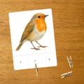 Les Oiseaux - carte à pince 1-10